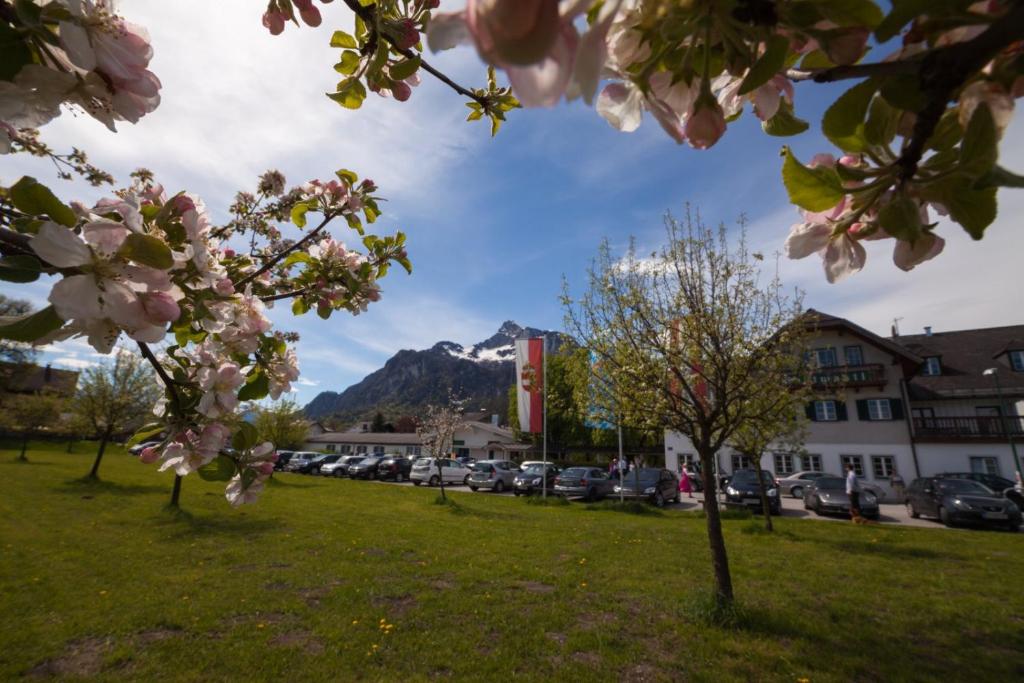 Nespecifikovaný výhled na hory nebo výhled na hory při pohledu z hotelu