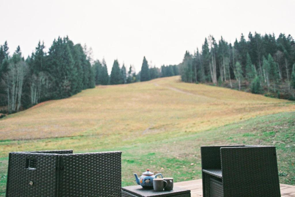 two televisions sitting on a table in front of a field at Django in Les Gets