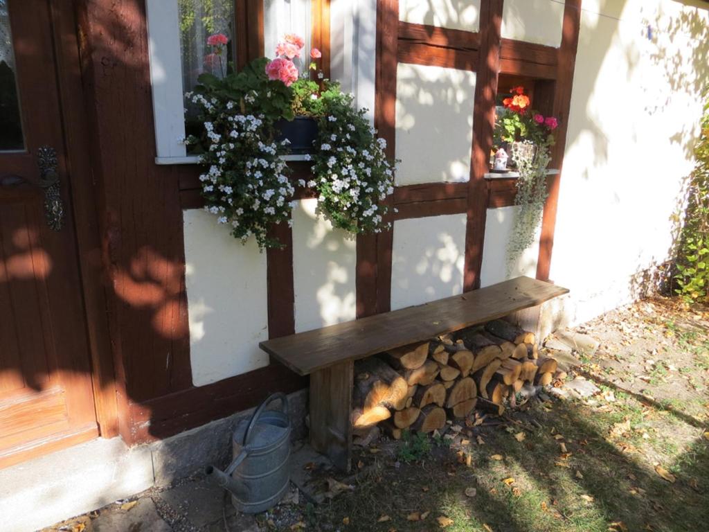 Zahrada ubytování Ferienhaus Pfeiffer