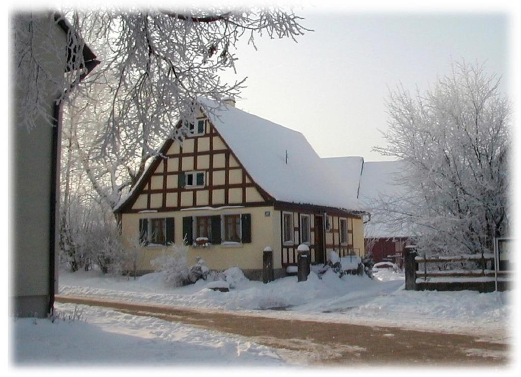 Ferienhaus Pfeiffer v zimě