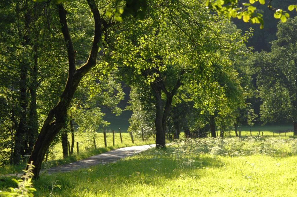 Paesaggio naturale nelle vicinanze del bed & breakfast