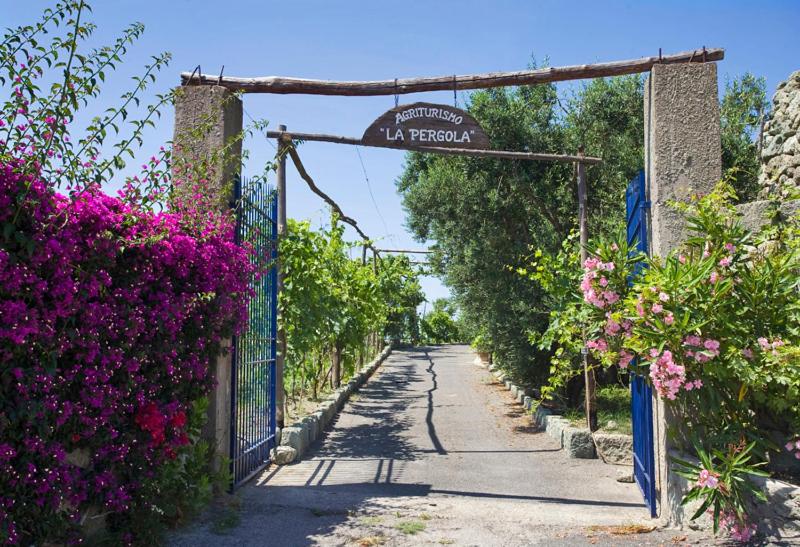 - l'accès à un jardin avec une porte et des fleurs dans l'établissement Agriturismo La Pergola, à Ischia