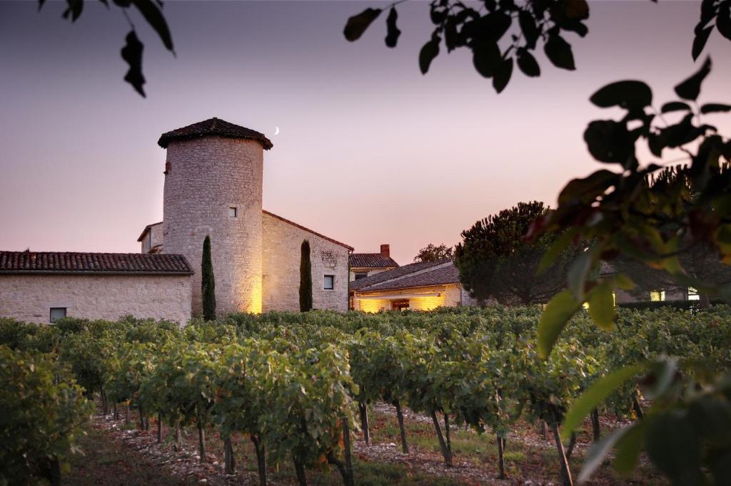 Cahuzac-sur-Vèreにあるシャトー ド サレットの夕日のぶどう園のワイナリー