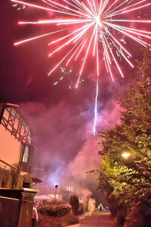 Schlosshotel Marienbad - Resim 28