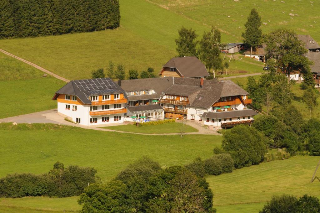 Příroda nedaleko hotelu