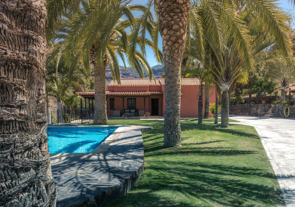 a house with palm trees and a swimming pool at Finca Horno de la Teja in Mogán
