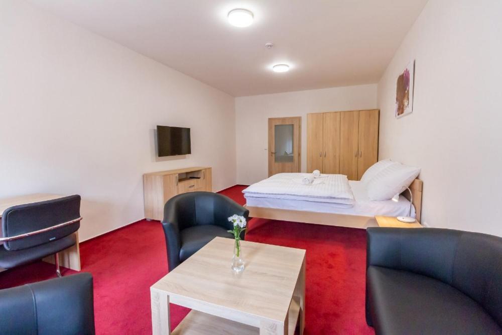 TV a/nebo společenská místnost v ubytování Hotel Ungar