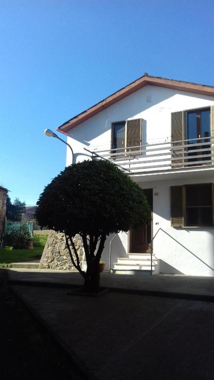a white house with a tree in front of it at Casa Galli in Castel Giorgio