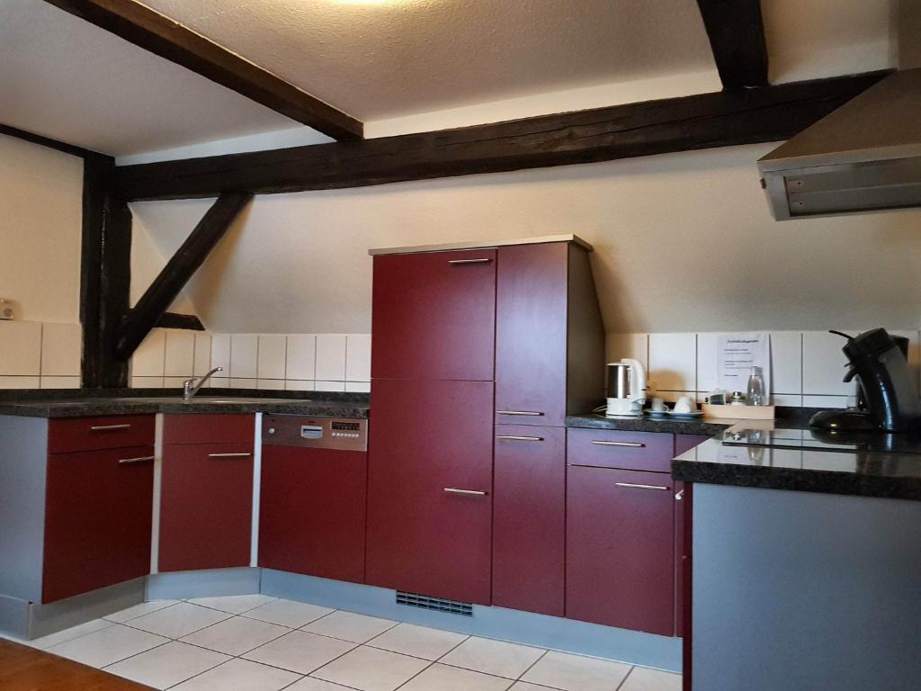 Kuchyň nebo kuchyňský kout v ubytování Das Lamm Heidelberg