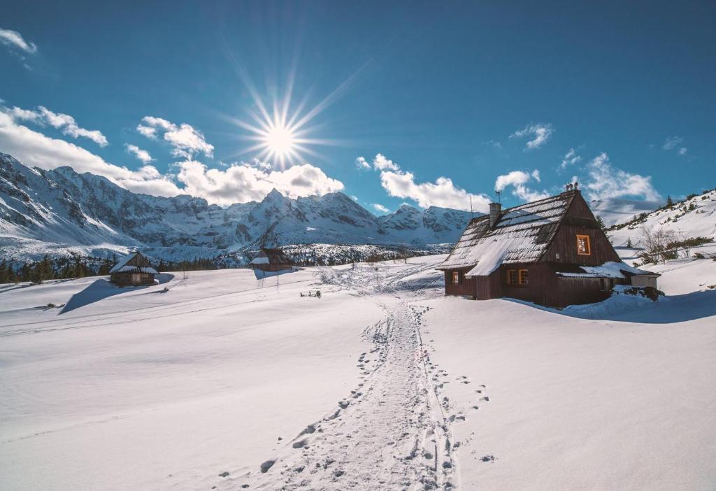 Foto dalla galleria di Hostel & Apartments u Florka 2 a Zakopane