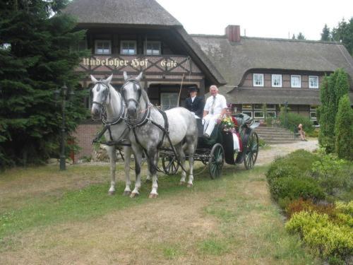 Hosté ubytování Undeloher Hof
