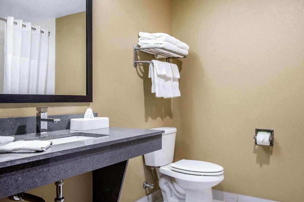 Koupelna v ubytování Comfort Inn & Suites Ashland