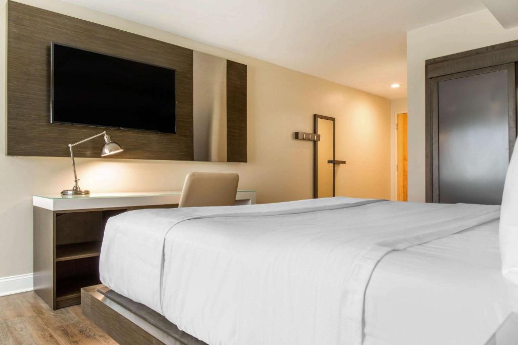 Wyndham Newport Hotel - King Room - Accesso Alla Mobilità/non Fumatori