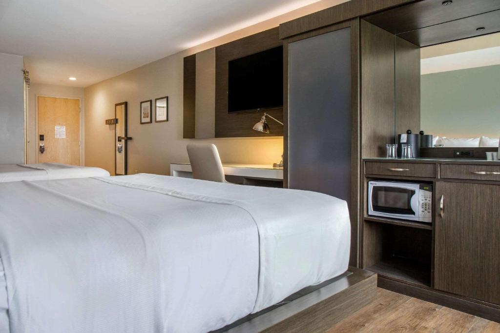 Wyndham Newport Hotel - King Room Con Due Letti King - Non Fumatori