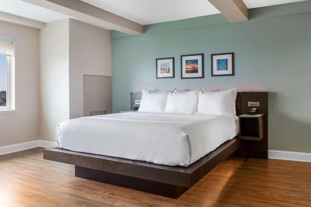 Wyndham Newport Hotel - 2 Letti King Letti, Suite Esecutiva, Non Fumatori