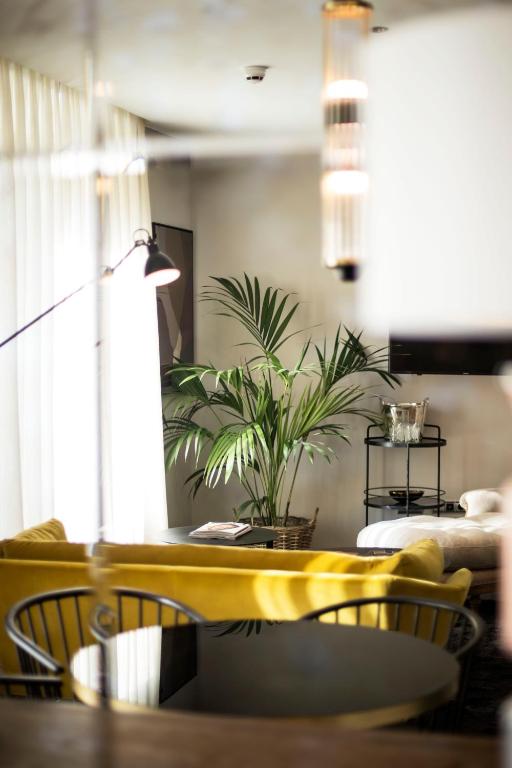 U-Sense Madrid Santa Ana - 11