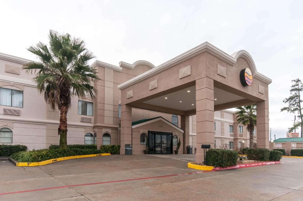 a building with a palm tree in front of it at Comfort Inn North Conroe in Conroe