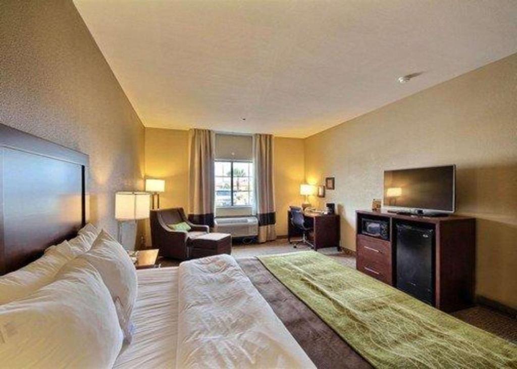 Comfort Inn Edinburg South photo