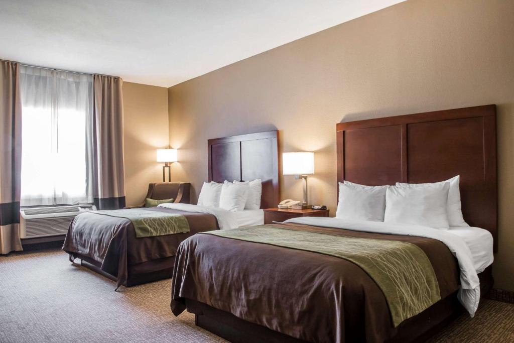 Comfort Inn Edinburg South photo