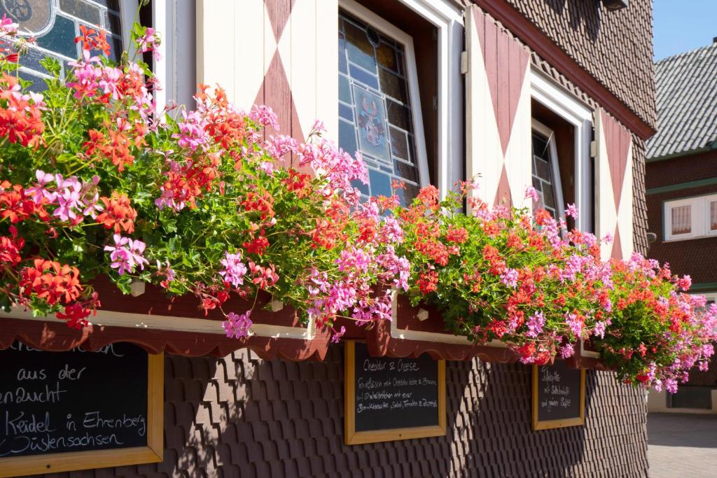 Un mazzo di fiori in cestini appesi su un edificio di Landgasthof Zum Stern Wasserkuppe Rhön a Poppenhausen