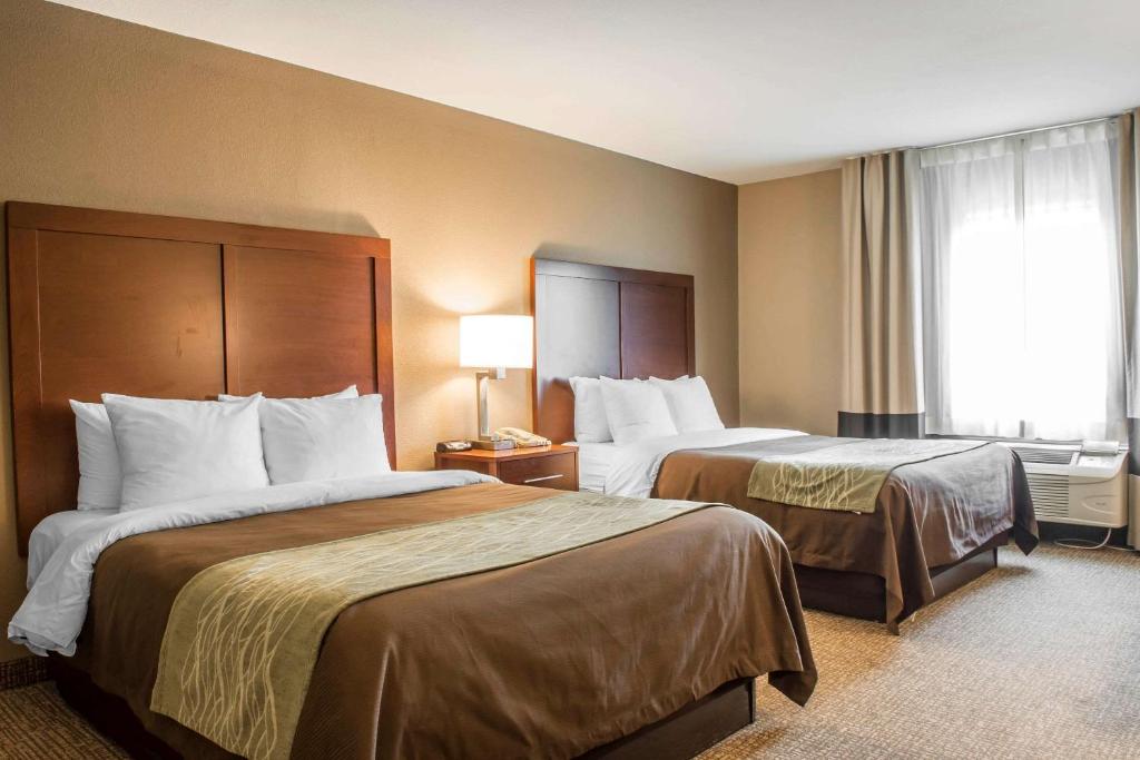 Comfort Inn Edinburg South photo