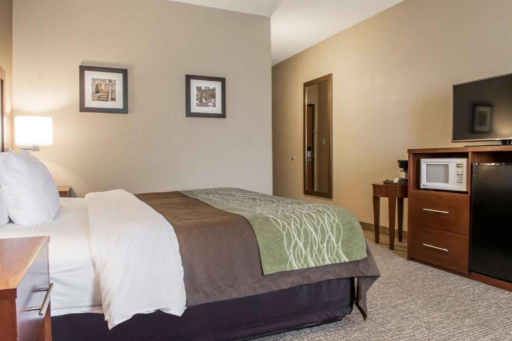 a hotel room with a bed and a flat screen tv at Comfort Inn Edinburg South in Edinburg