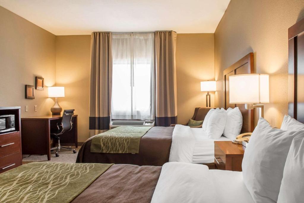 Comfort Inn Edinburg South photo