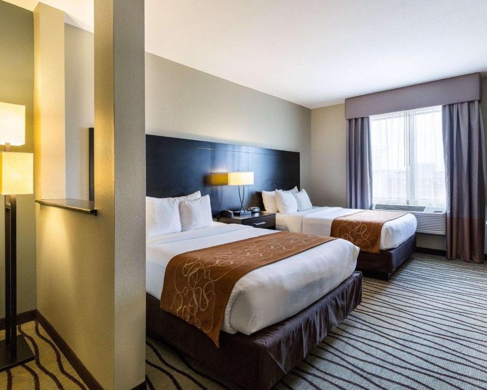 Comfort Suites near Westchase on Beltway 8 - Suite Queen Con Dos Camas Queen - Acceso A Discapacidad