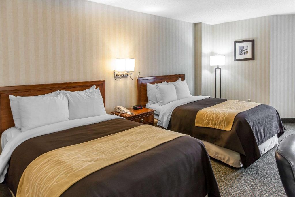 Comfort Inn Pentagon City - Tweepersoonskamer Met Twee Tweepersoonsbedden - Niet Roken