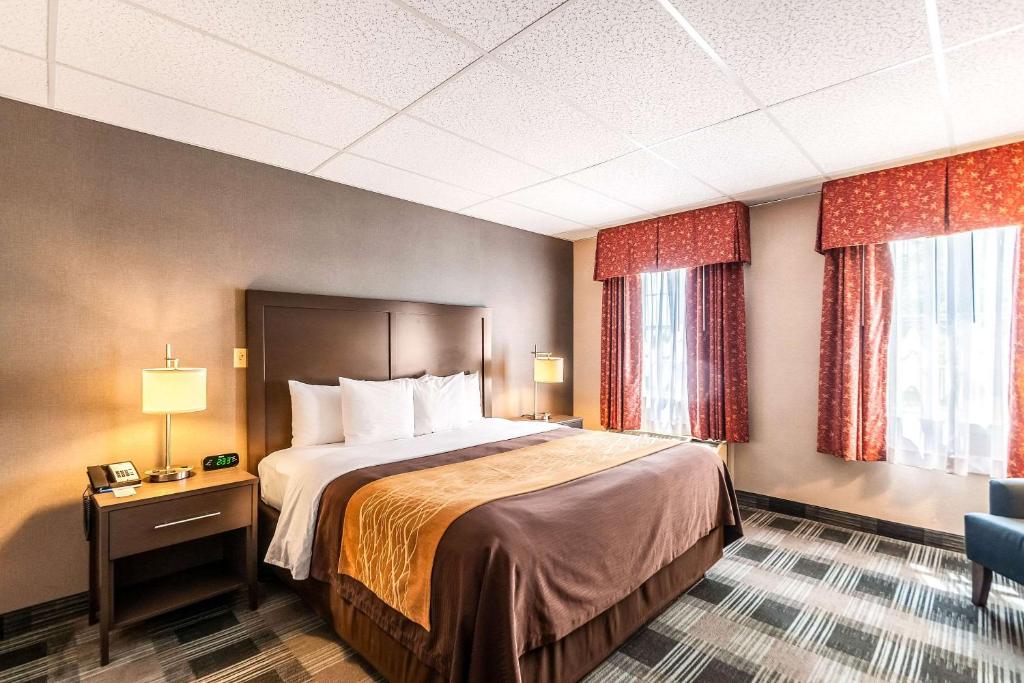 Postel nebo postele na pokoji v ubytování Comfort Inn Ballston
