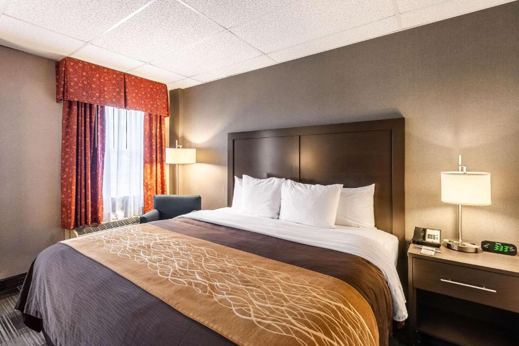 Comfort Inn Ballston - Standard Room With One King Bed