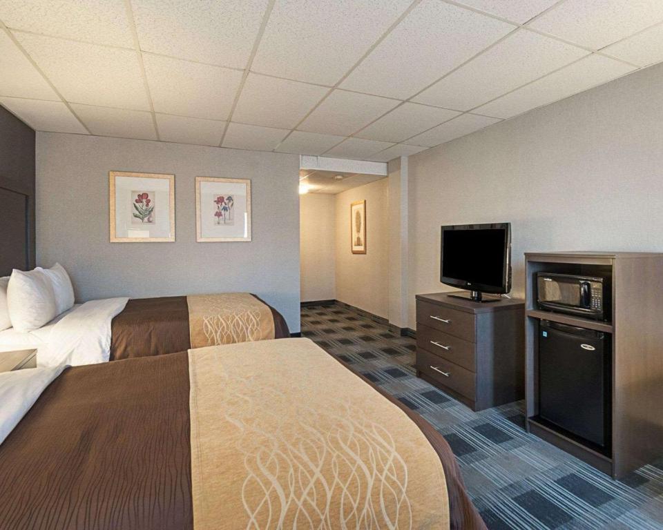 Comfort Inn Ballston - Standard Room With Two Queen Beds - Courtyard View