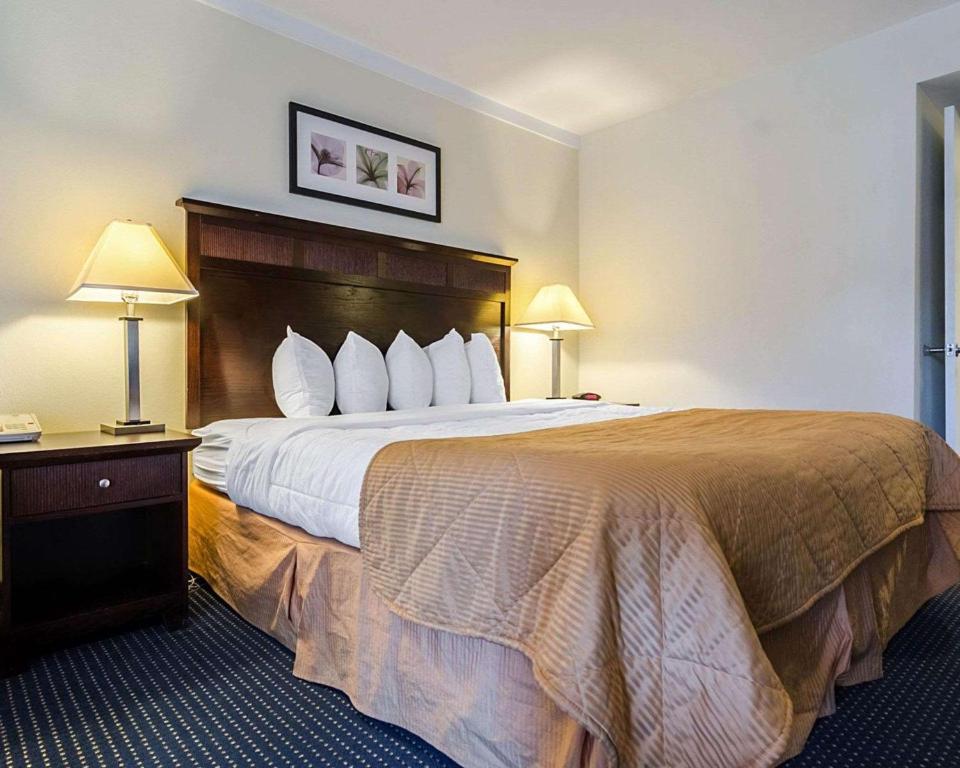 Rodeway Inn & Suites Williamsburg Central - King Room - Accessible/Non-Smoking
