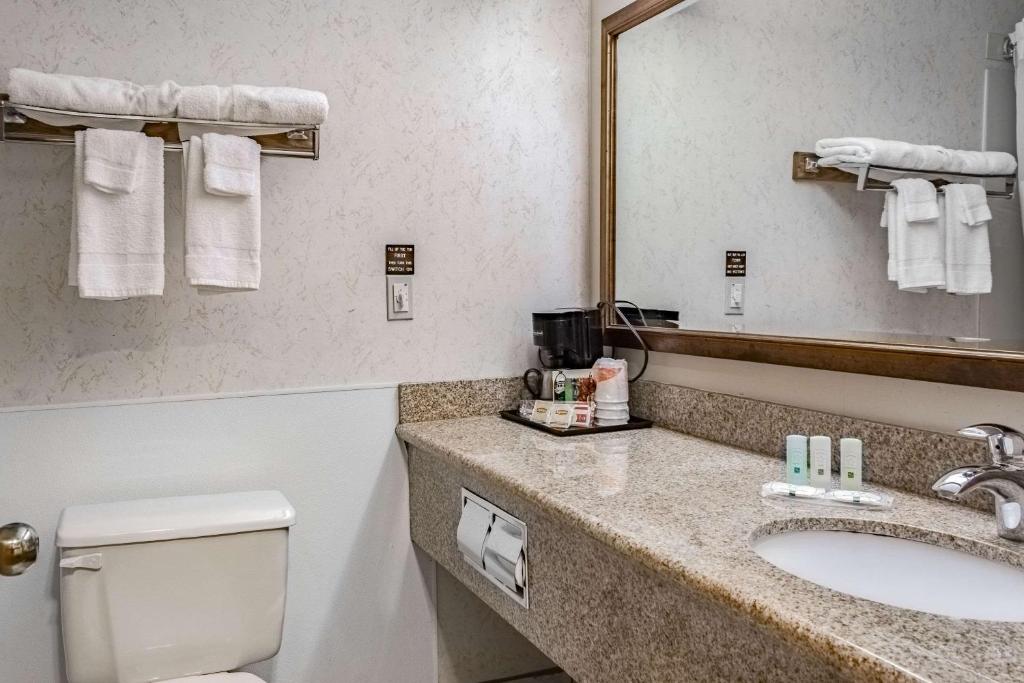 Koupelna v ubytování Quality Inn & Suites Vancouver North