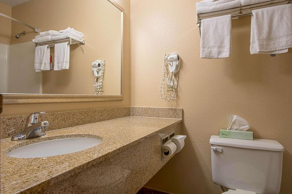 Koupelna v ubytování Econo Lodge