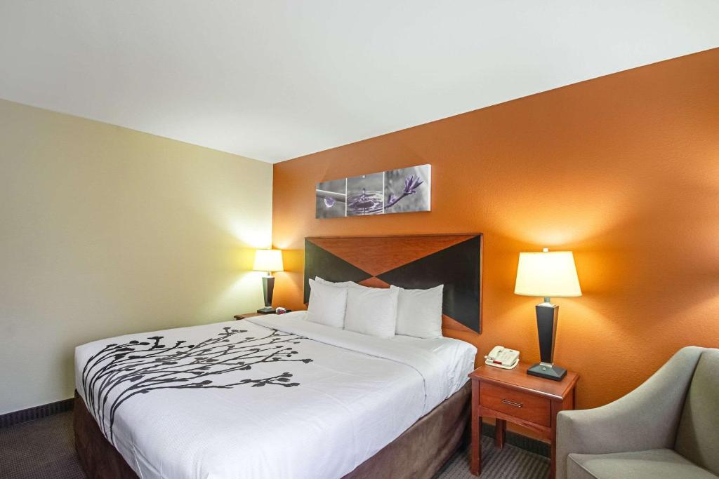 Sleep Inn & Suites Madison - Monona - King Room