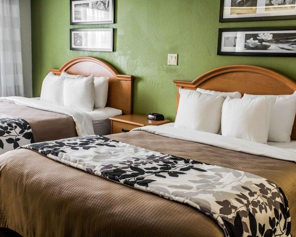 Habitación de hotel con 2 camas y paredes verdes en Sleep Inn Slidell, en Slidell