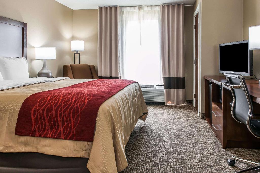 Comfort Inn & Suites - King Room - No Fumadores