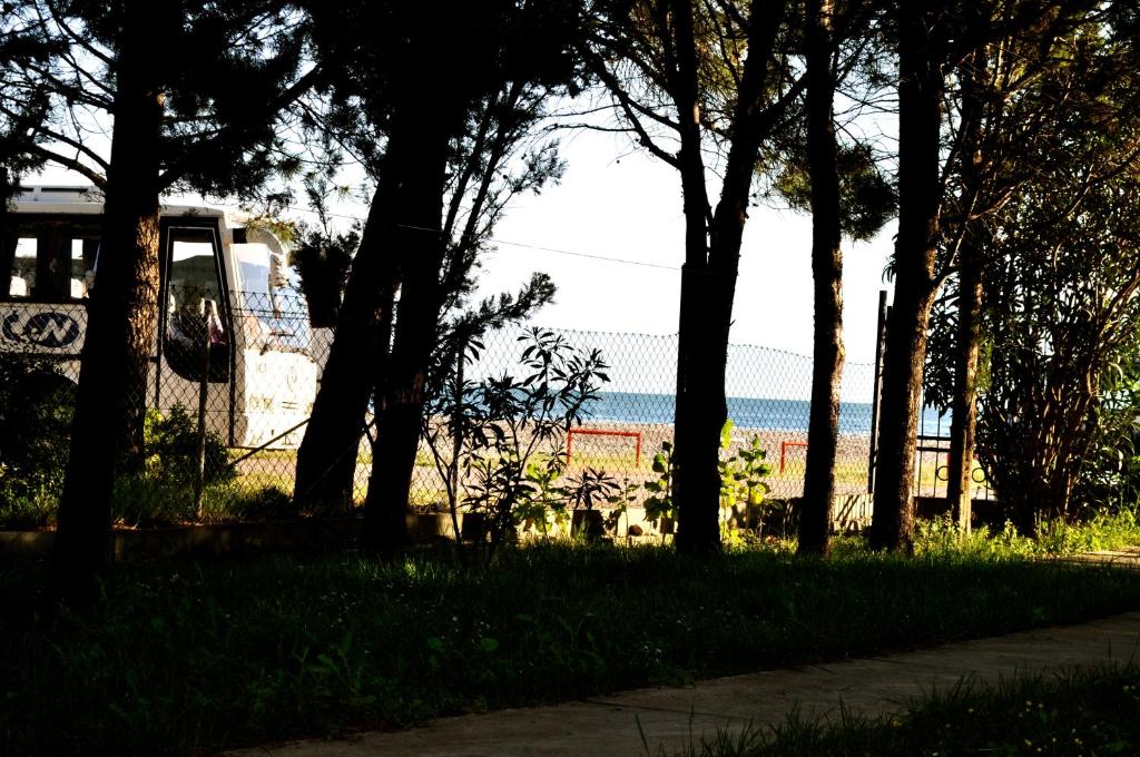 a group of trees in a park with the ocean in the background at Vila Branka in Čanj