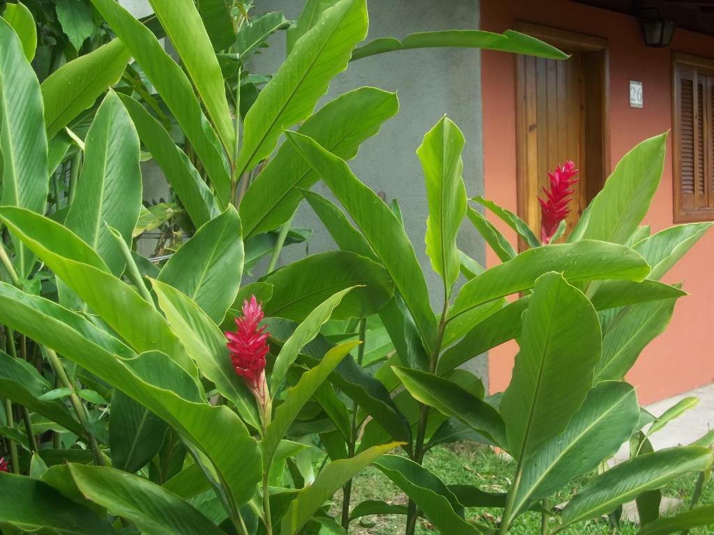 Pousada das Maritacas  Pousada das Maritacas