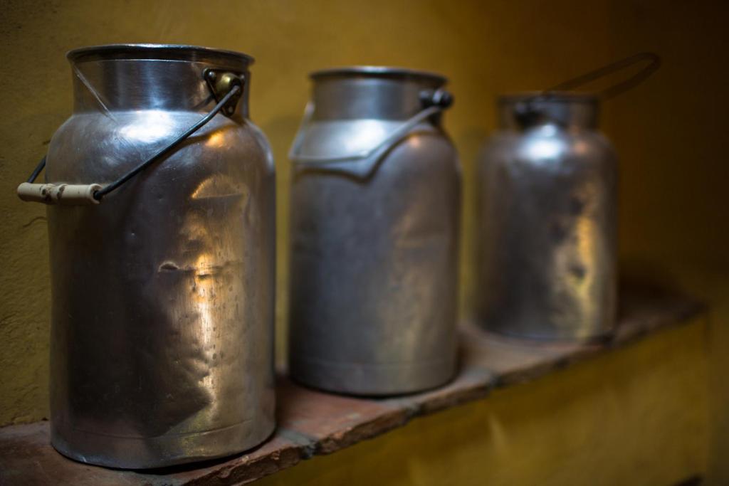 Fotografie z fotogalerie ubytování Agriturismo Borg da Ocjs v destinaci Cormons