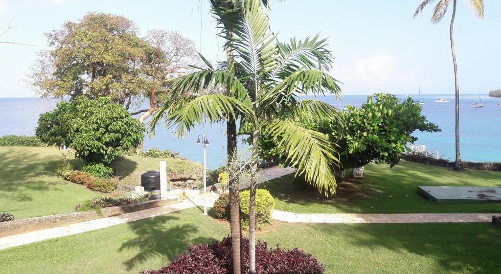 a palm tree in a park next to the water at Crown Point Beach Hotel in Crown Point