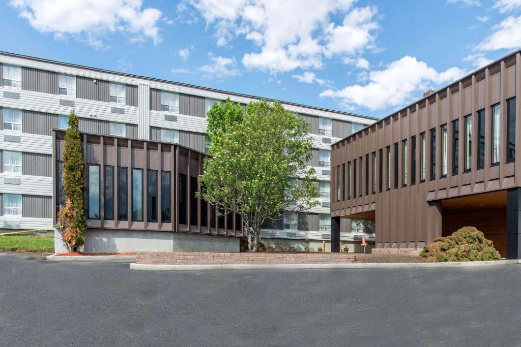 um edifício de escritórios com uma árvore em frente em Quality Hotel & Suites em Gander