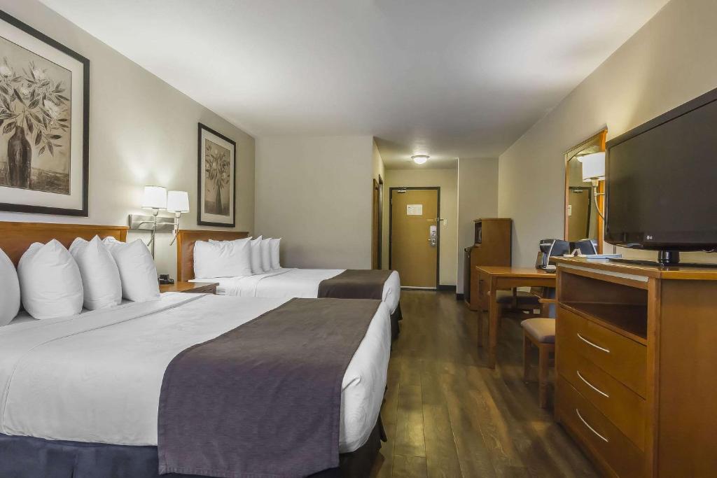 Quality Inn & Suites - Resim 4