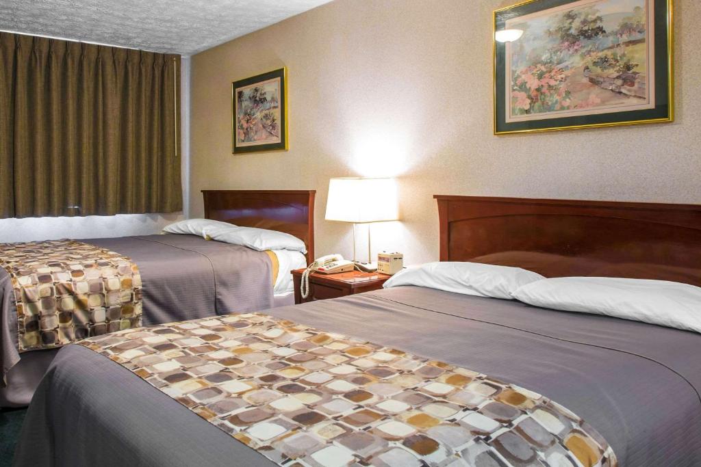 Rodeway Inn & Suites Branford - Guilford - Queen Suite - Non-Smoking