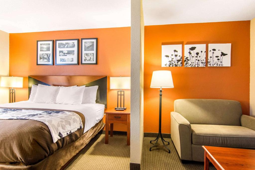 Sleep Inn & Suites Athens South - King Suite - Non-Smoking