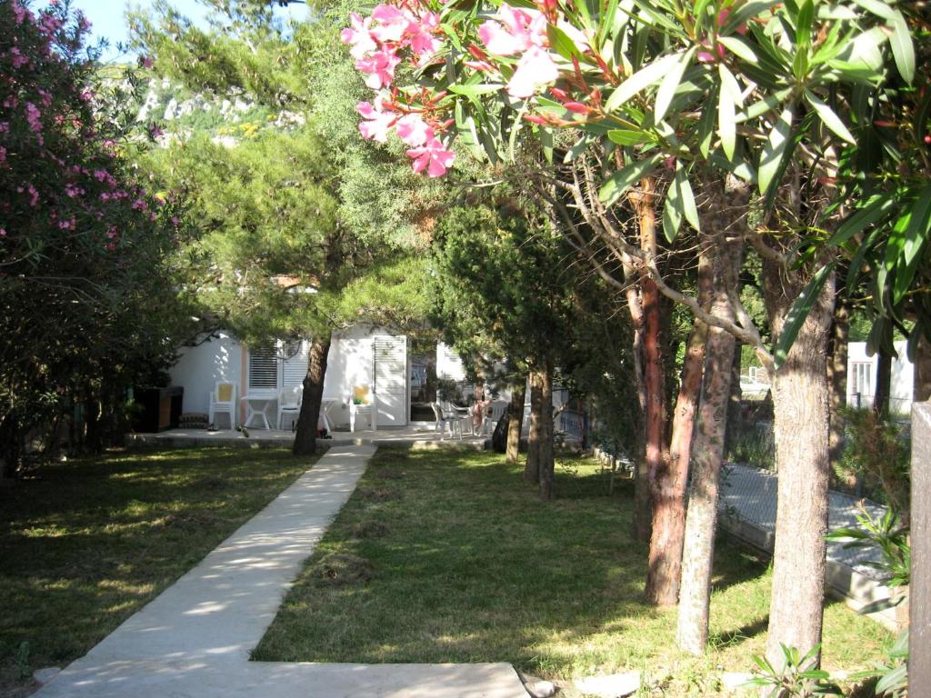 Zahrada ubytování Vila Branka