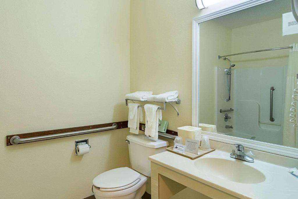 Quality Inn & Suites Harvey - Chicago Southland - Suite King - Accesso Disabili