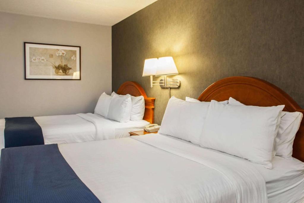Quality Inn & Suites St Charles -West Chicago - Camera Doppia Standard Con Due Letti Matrimoniali