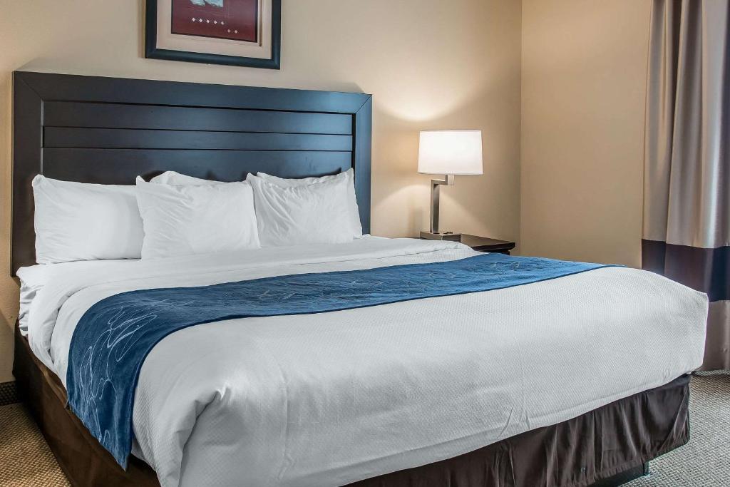 Comfort Suites South Bend Near Casino - Suite Con Cama Extragrande - No Fumadores